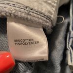 Crazy Train  Shore Line Distressed Shorts Photo 4