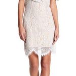 WAYF NWT  Luxia Off Shoulder Lace Dress Photo 0