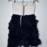 Alice + Olivia Black and White Silk Blend Ruffle Skirt Mini Dress Size 2 Photo 1