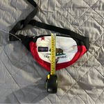 Jansport  California Republic Waist Fanny Pack Photo 7