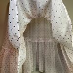 Libby Edelman Long Sleeve Blouse 2XL Ballet Pink Fairy Polka Dot Coquette Sheer Size 2X Photo 5