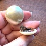 Vintage Womens Costume Jewelry Ivory Faux Pearl Clip On Earrings White Photo 14