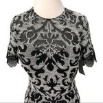 JS Collections Embroidered Lace Scalloped Trim Cocktail Dress Size 2 NWOT Photo 6