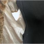 Fabulous Furs Photo 6