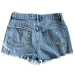 AGOLDE Parker Vintage Cut-Off Shorts in Swampmeet Button Fly Size 25 Photo 7