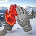 Unisex Thermal Warm Thick Plush Lined Touchscreen Gray Gloves NEW Winter OS Photo 0