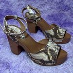 EXPRESS Chunky Tan Snakeskin Wedge Heels Strappy Women’s Thick Block Sandals 8M Photo 0