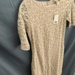 Banana Republic : Cream 3/4 length sleeve Knit Midi dress- cotton blend- size 4 Photo 8