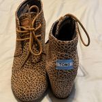 Toms  Photo 1