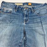 Pilcro and the Letterpress Pilcro and the Letter Press Boyfriend Style Mid-Rise Medium Wash Jeans-Size 28 Photo 8