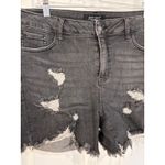 Judy Blue  1XL Denim Shorts Distressed Frayed Hem‎ Gray Wash Plus Size Photo 1