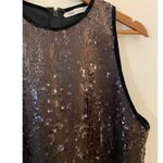ZARA  Chocolate Brown Black Sequin Sparkle Velvet Trim Holiday Party Dress Mini L Photo 2