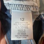 Haute Hippie  Tribe Women's Blue Jeans, sz 12 Photo 3