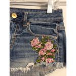 American Eagle Embroidered floral cut off shorts  Size 00 Stretch Photo 1