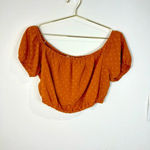 Lush Clothing 🆕 Lush Rust Colored Crop Top Photo 1