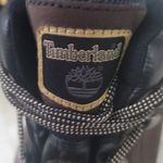 Timberland Men's Chocorua Trail Waterproof Hiking Boot Brown /Black Photo 8