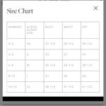 Alexis Yiana Mini Dress in Floral Photo 15