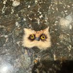 Vintage Brooch‎ Owl Realistic Bird Head Furry Glass Eye Figural Photo 1