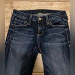 Vervet Flying Monkey skinny jeans Photo 7