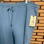 Terra & Sky Terra‎ & Sky Blue Pull On Capris Size 3X Photo 2