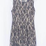 HD in Paris ANTHROPOLOGIE  Violante Black Lace Fit & Flare Dress Size L Photo 2