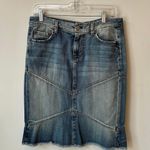 Denim Y2K Skirt Size M Photo 0