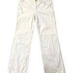 Banana Republic Vintage Y2K Martin Flair Leg Lined Neutral Pant Size 10 Preppy Photo 0