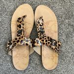blowfish Cheetah Print Sandals Photo 0