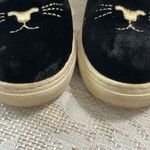 Charlotte Olympia Cool Cats Velvet Sneakers Size 7.5/38 Photo 3