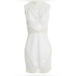 Jonathan Simkhai Mesh bodycon Qhote Dress White Size 6 Photo 1