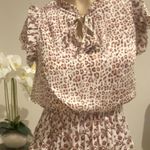 Cato  Dress Size S, Worn Once, Lined. Photo 1