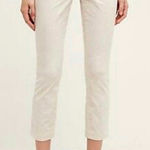 Anthropologie Pilcro and the Letterpress Blush Striped Cropped Pant Size 30 Photo 0