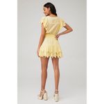 Love Shack Fancy  Darryl Lace Trim Pale Yellow Flutter Sleeve Ruffle Mini Dress Photo 2