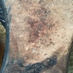 Vero Cuoio ♥️ vintage shoes Photo 2