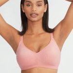 Brand New Warners Women's Size Small Lightly Lined Wireless T Photo 0