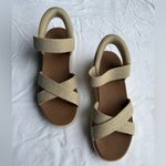 WOMEN'S BOBS 114417 SUN RAY SLIP Photo 4