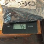 Nike  Black One-Piece Swimsuit Photo 7