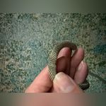 Vintage chain link metal adjustable waist belt, size medium Silver Photo 6