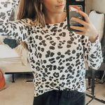 Sundry  Cheetah Top Photo 0