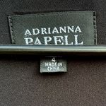 Adrianna Papell NWT  Fit Flare Ruched Waist Lace Panel V Neck Twirl Skirt Dress 4 Photo 1