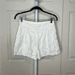 Joie  Leslie on porcelain Embroidered cotton linen Shorts in Size 2 Photo 1