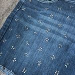 Cato  Denim Shorts SIZE 22W Photo 1