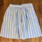 Ralph Lauren Women’s women’s vintage 1980s Blue and Cream Striped full skort Photo 0