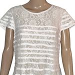 Alfani Illusion Lace Cap Sleeve Fit And Flare Dress Photo 4