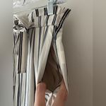 ZARA  Blue White And Silver Striped Wide Leg Ankle Pants Pull On Elastic Waist Photo 2