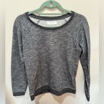 Everlane The Crew Pullover Sweatshirt Gray Sz XS Photo 1