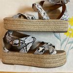 Bonnibel  Snakeskin Print Black & White Espadrilles Photo 10