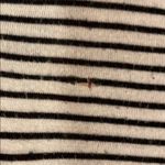 American Eagle Soft & Sexy T-shirt Photo 2