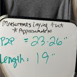 The North Face NWOT vytrue boxy crop tee, grey, size XL Photo 1