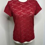 Josephine Chaus  Sheer Lace Top Velvet Trim Women’s Size Medium Photo 0